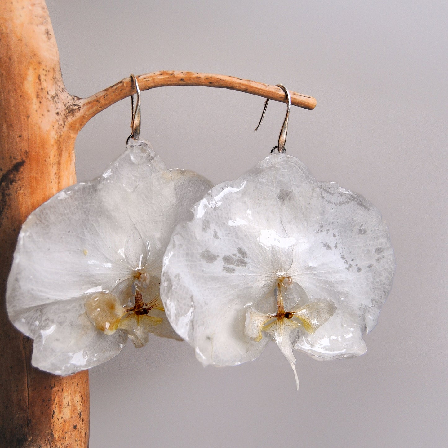 Orquidea gigante blanca