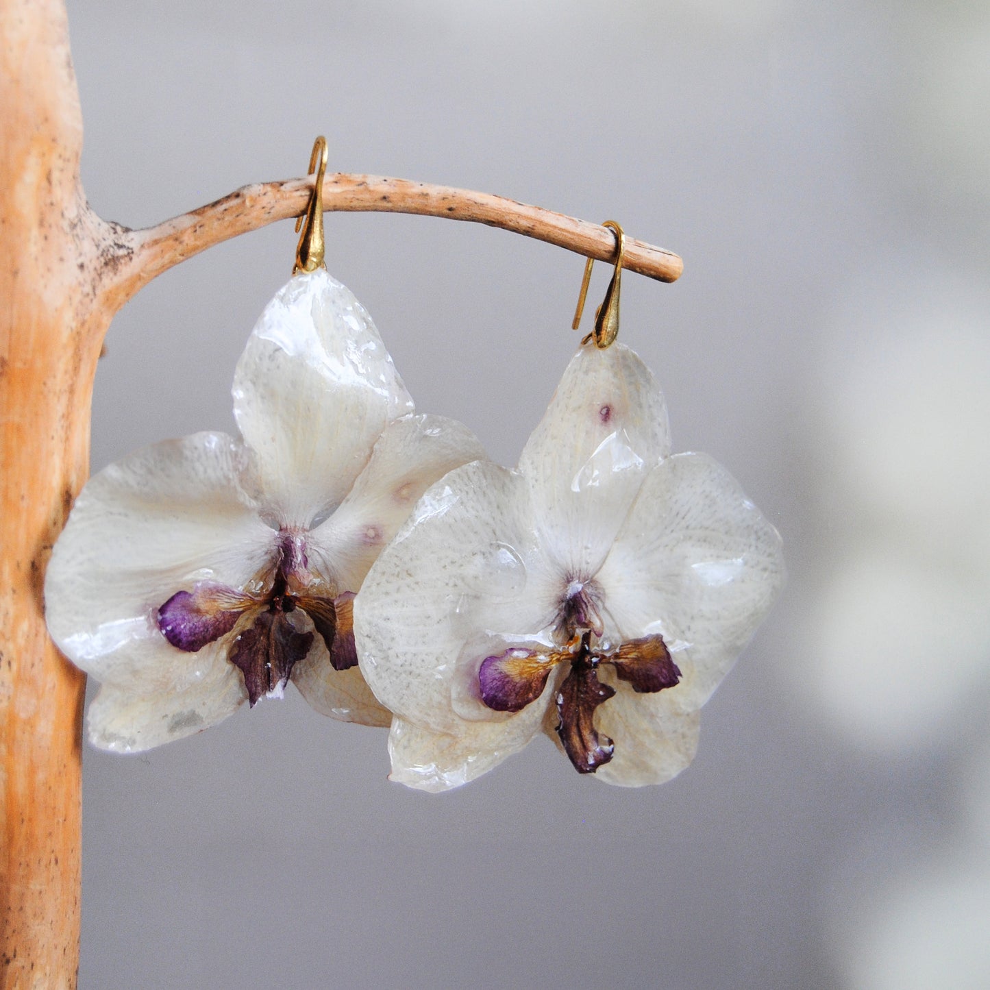 Orquidea blanca y morada