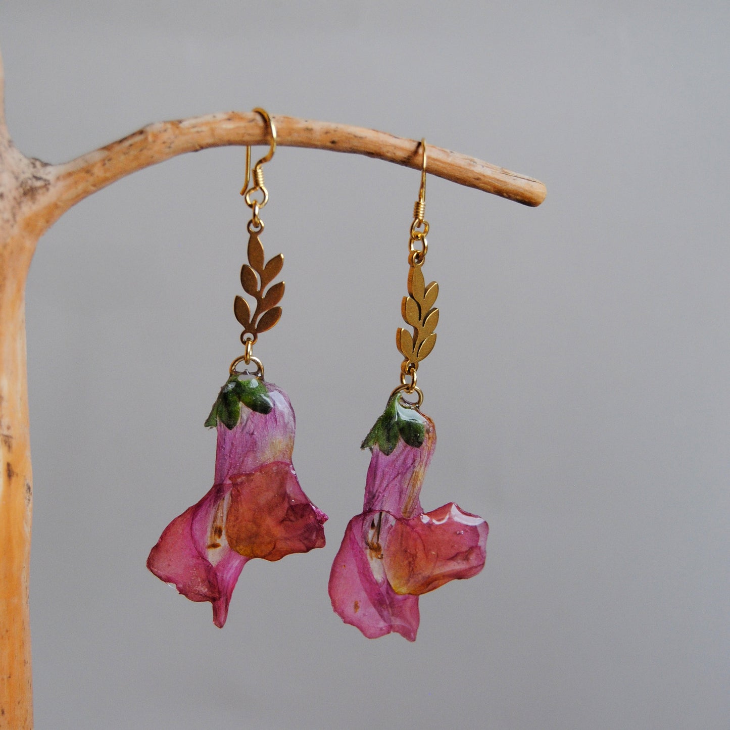 Campanillas rosas
