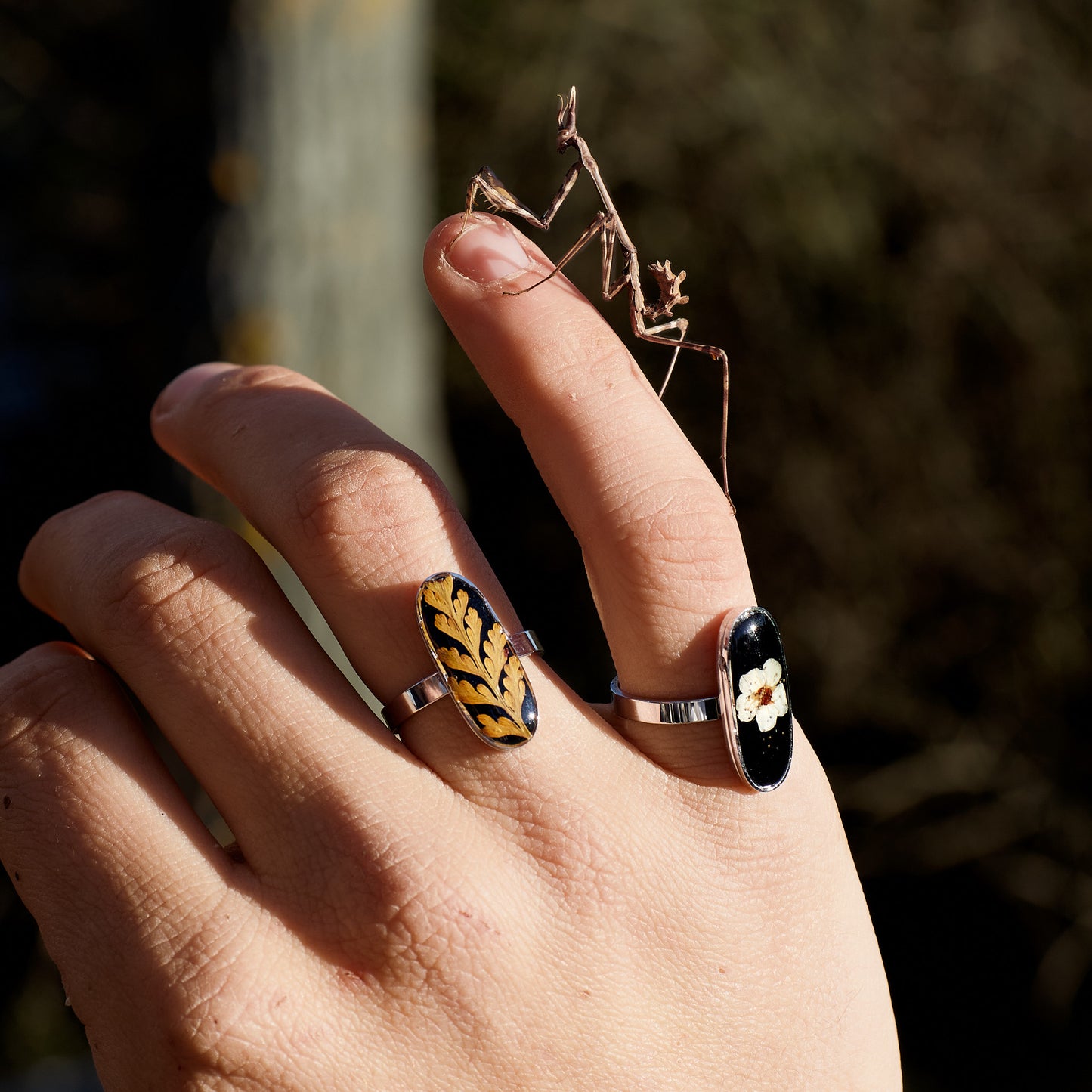 Anillo de helecho amarillo