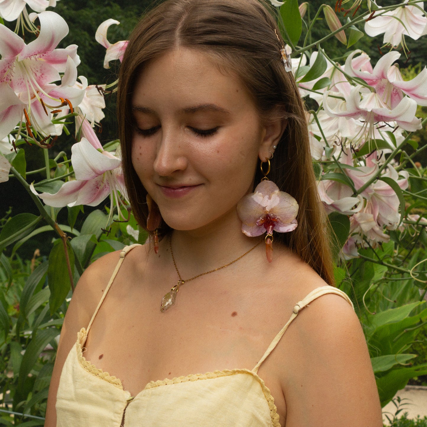 Bellona Orquidea