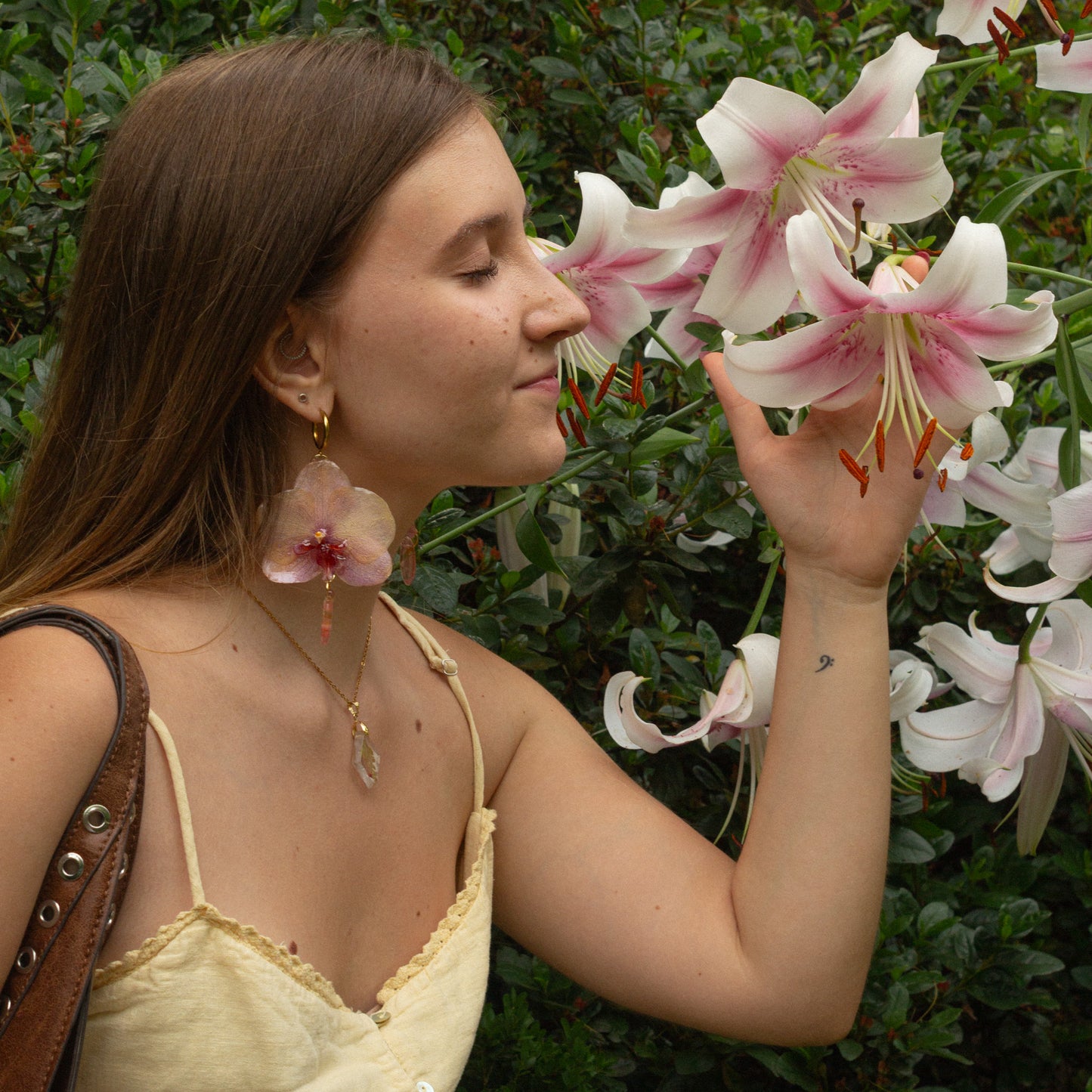 Bellona Orquidea