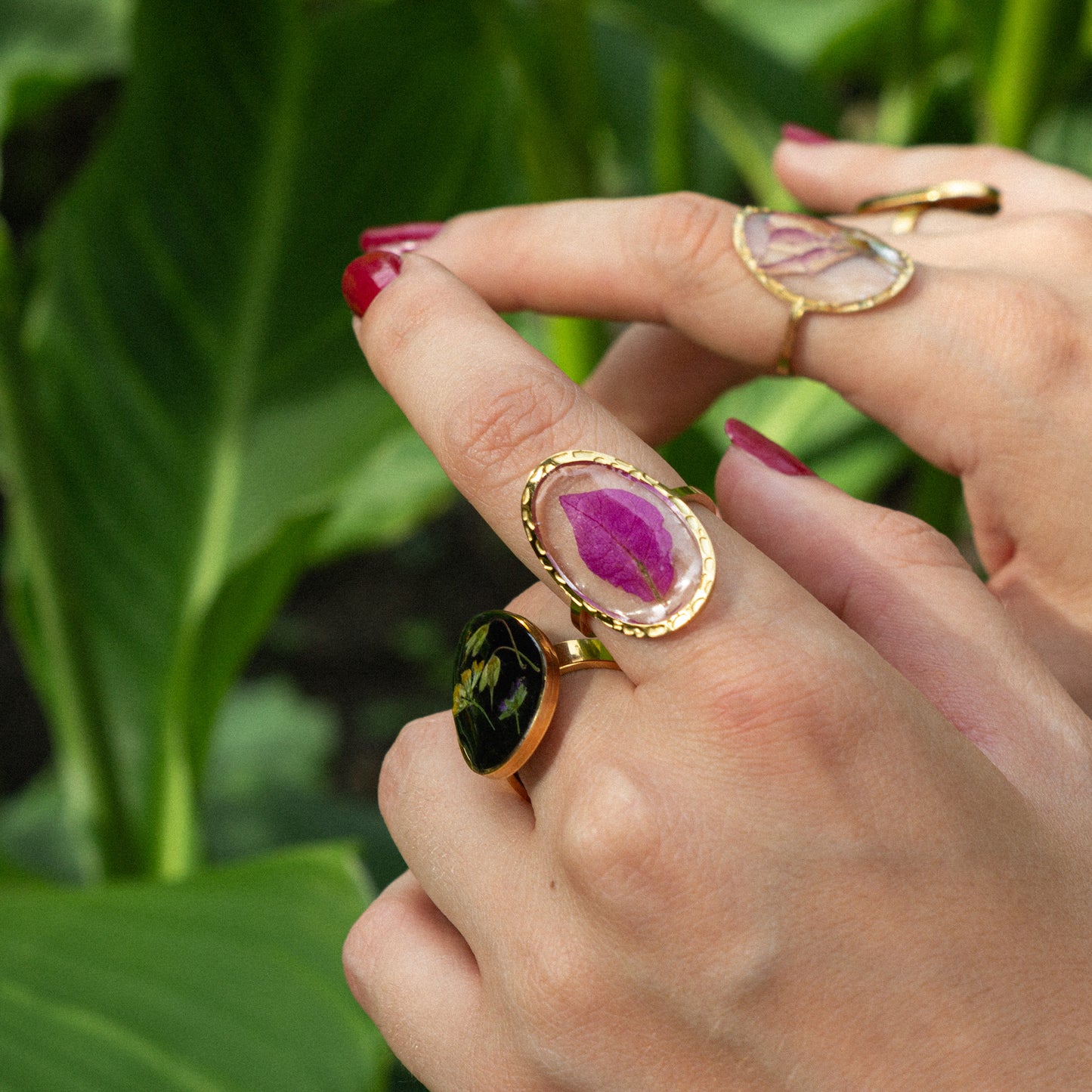 Anillo Buganvilla
