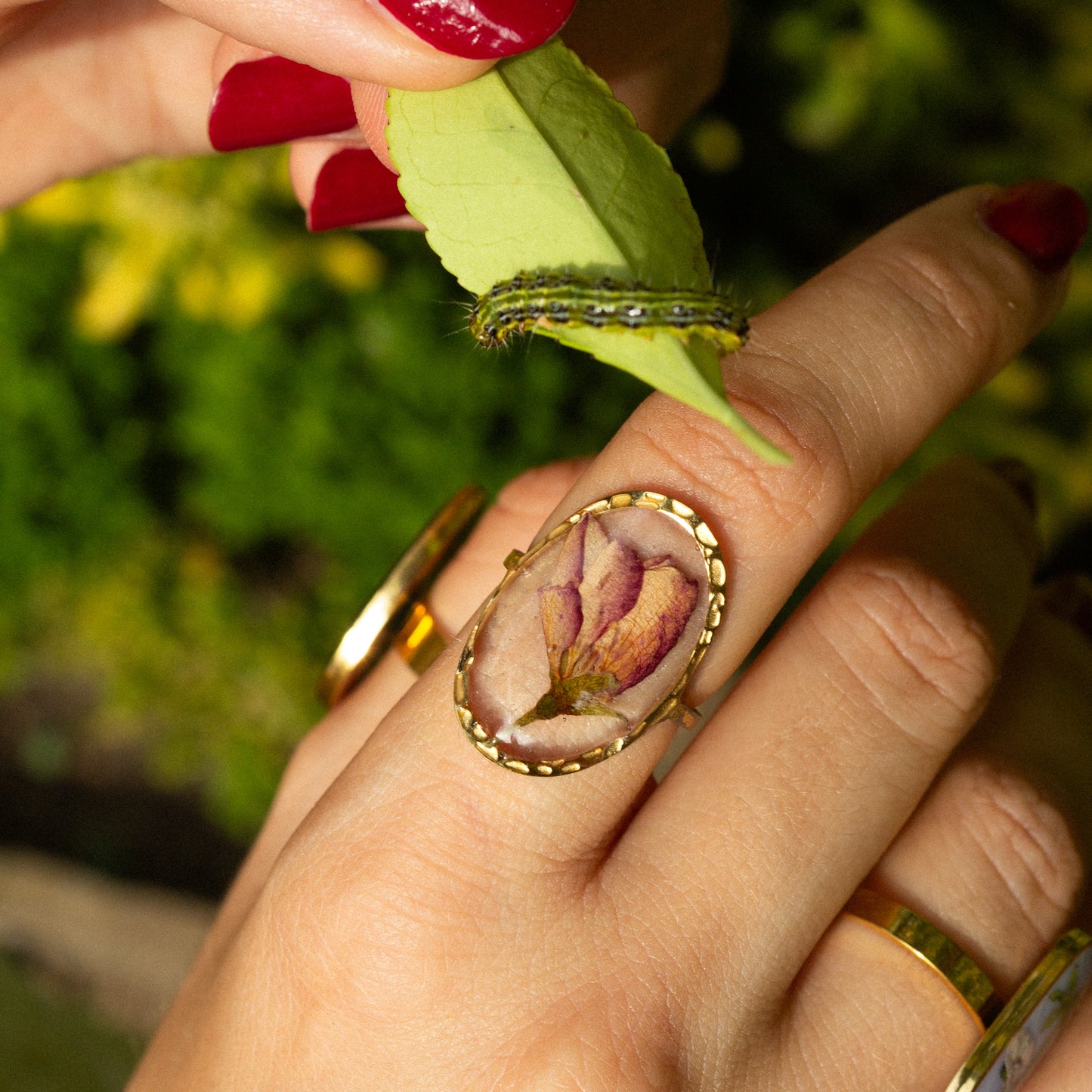 Anillo Rosa dorada
