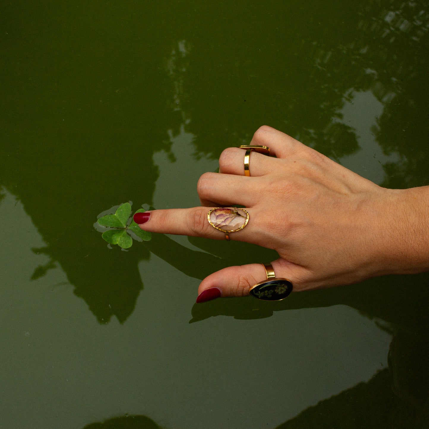 Anillo Rosa dorada