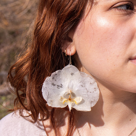 Orquidea gigante blanca