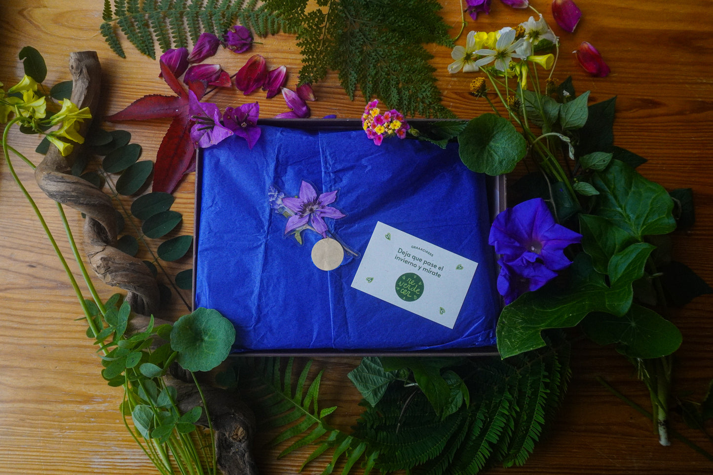 Kit de iniciación a la joyería botánica