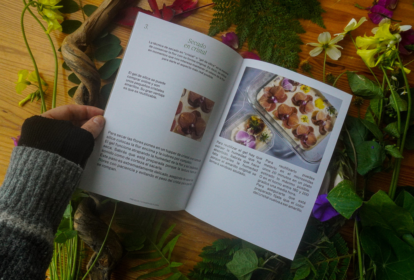 Manual de Iniciación a la joyería botánica