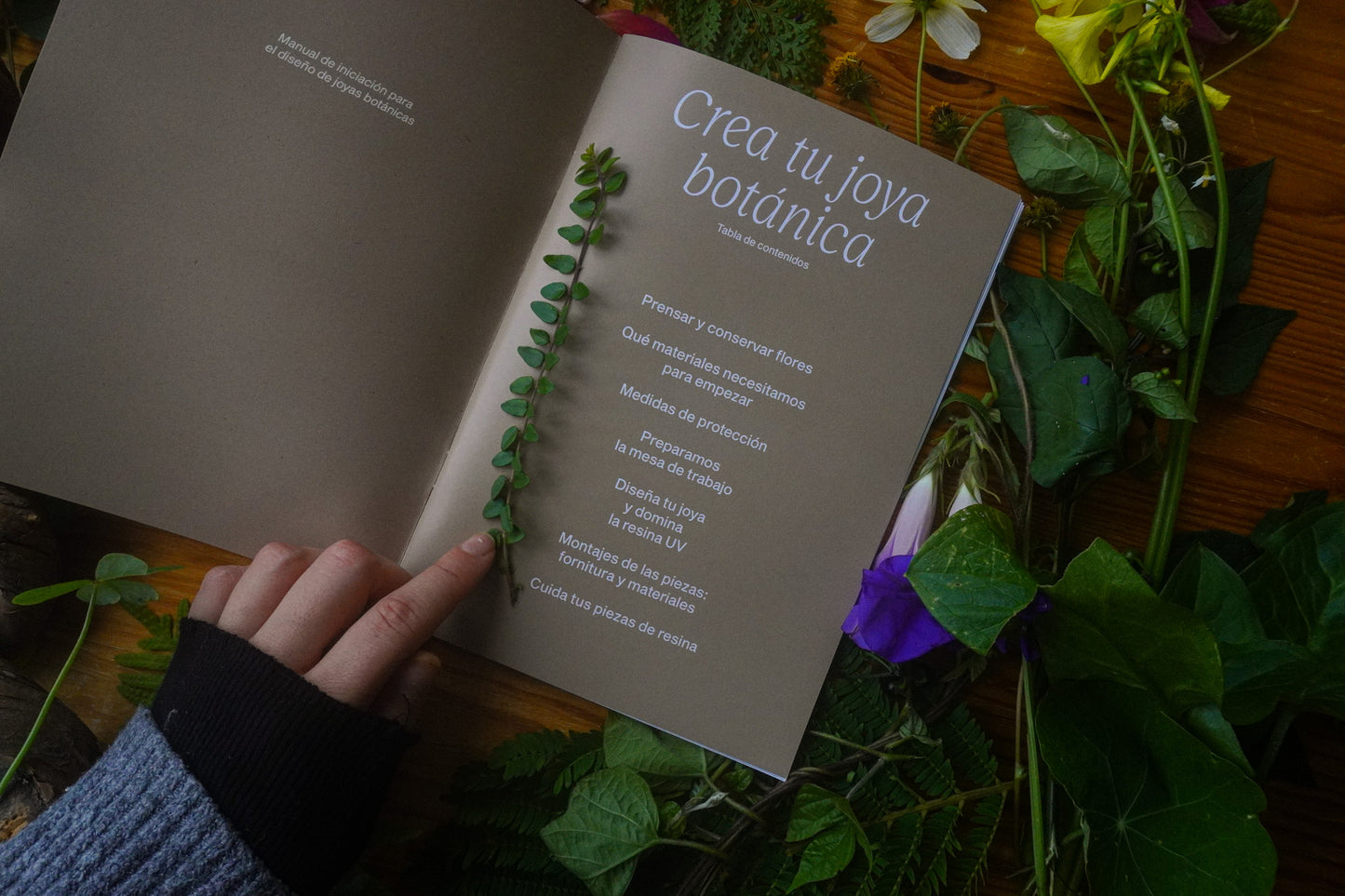 Manual de Iniciación a la joyería botánica