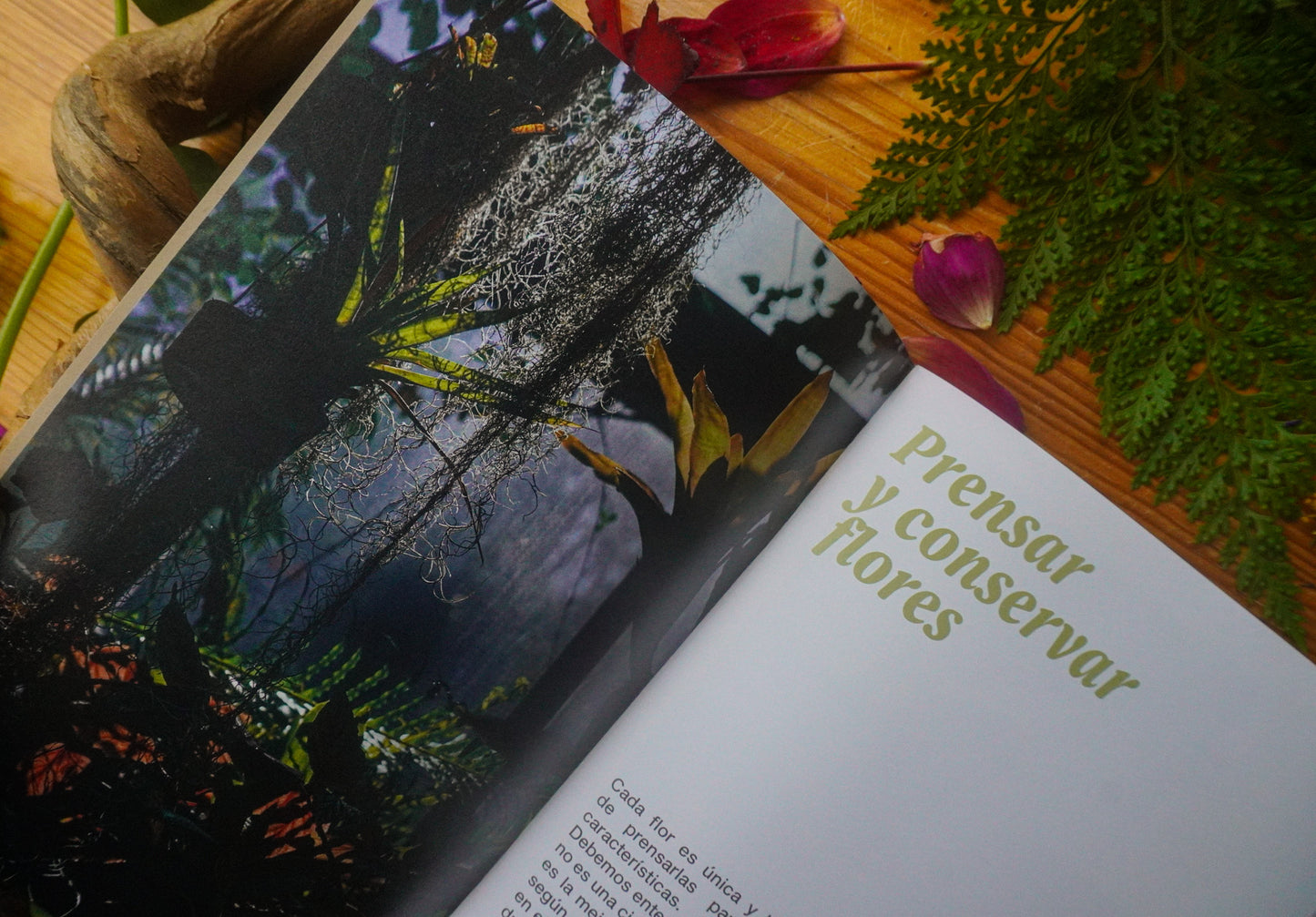 Manual de Iniciación a la joyería botánica