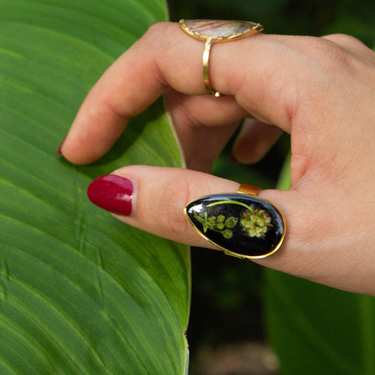 Anillo Bodegón soleado