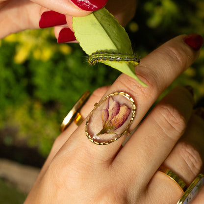 Anillo Rosa dorada