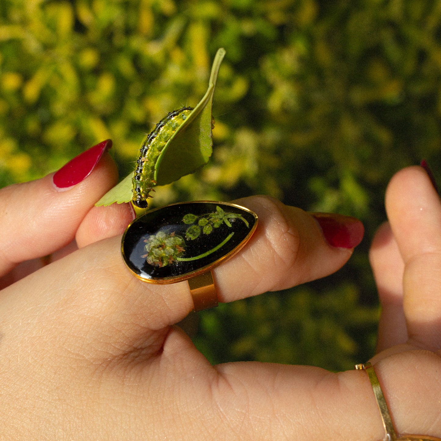 Anillo Bodegón soleado