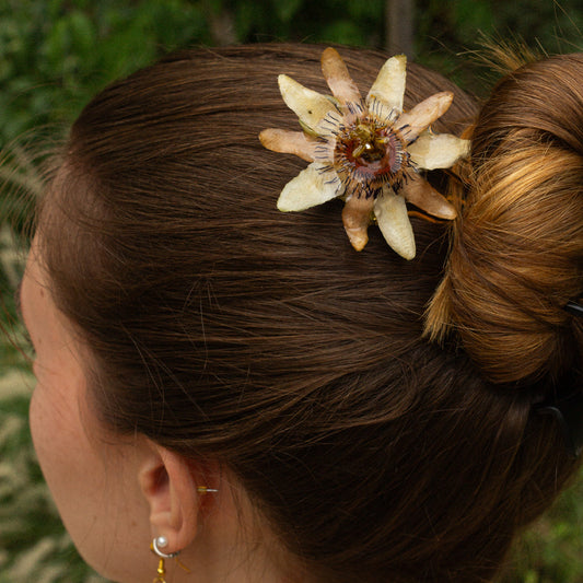 Pasador Flor de la pasión