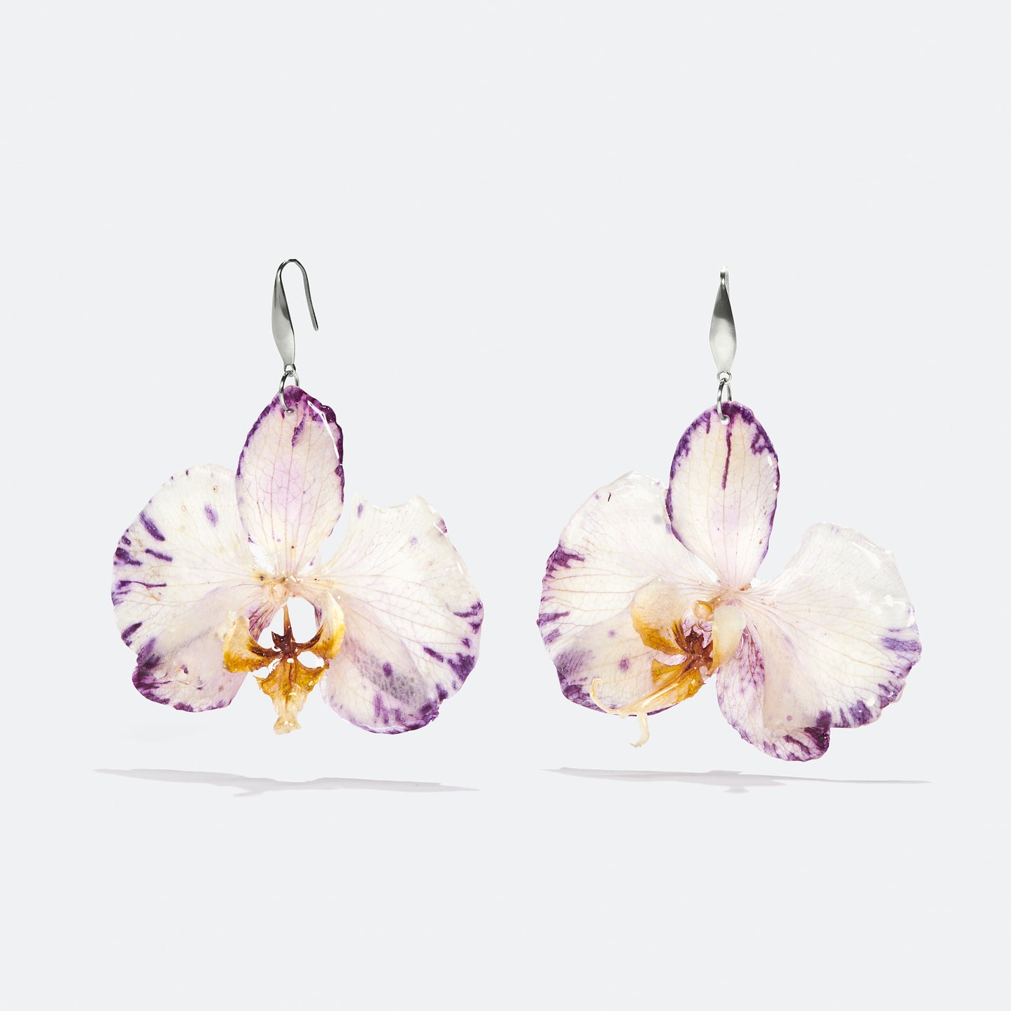 Orquídeas blancas y moradas